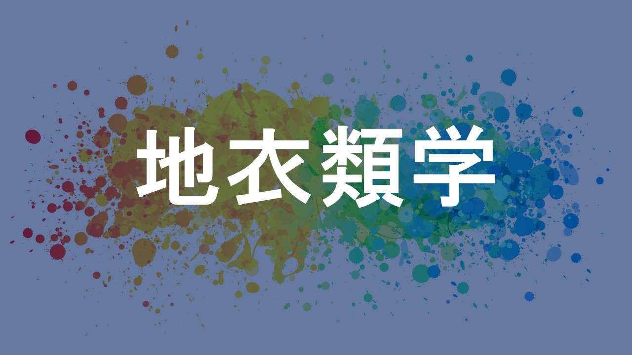 地衣類学