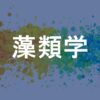 藻類学