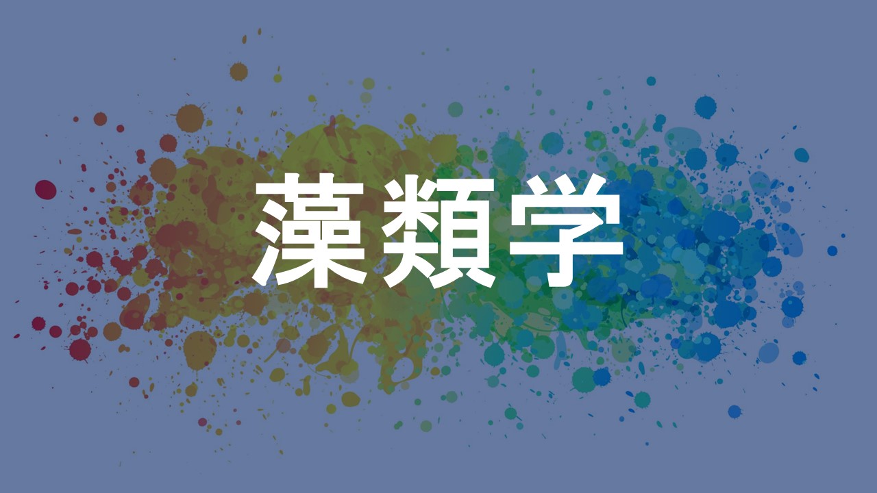 藻類学