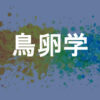 鳥卵学