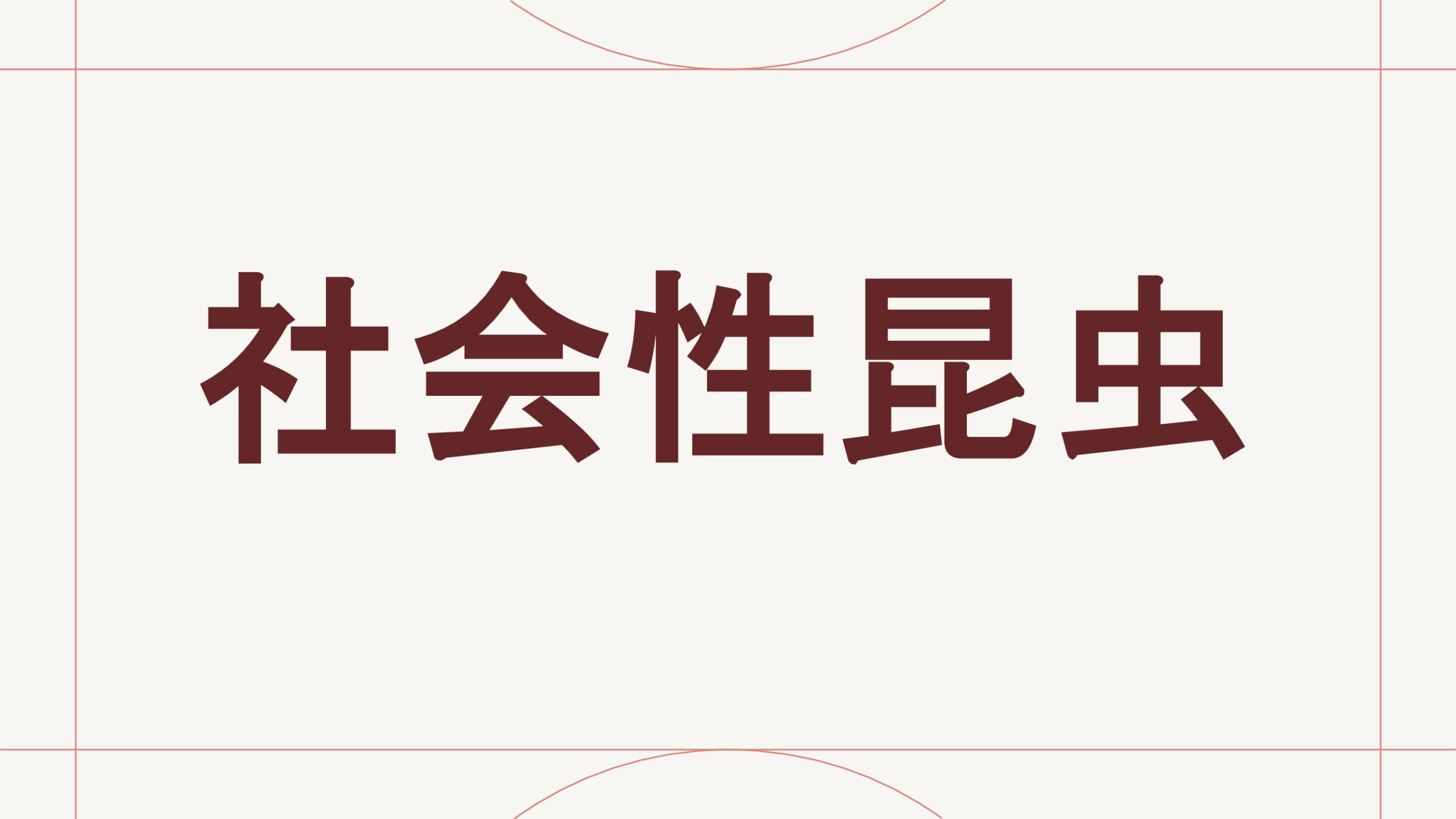 社会性昆虫