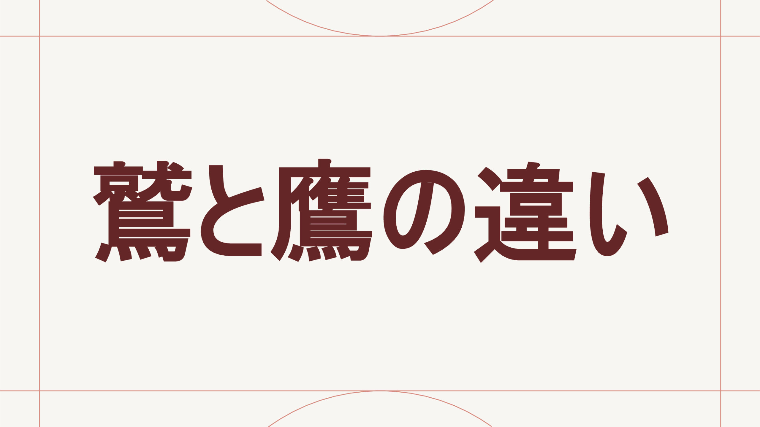 鷲と鷹の違い
